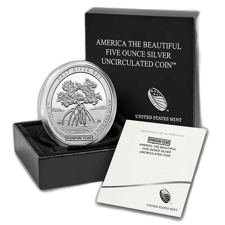 Burnished 5 oz .999 Fine Silver ATB Random Park (w/ Box & COA)
